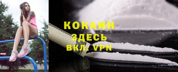 mdpv Богданович