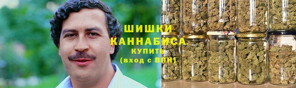 МДПВ Богородск