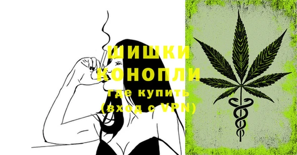 МДПВ Богородск