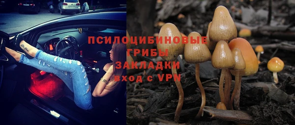 прущие крисы Богородицк